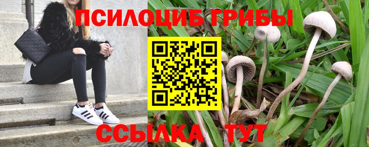 Псилоцибиновые грибы GOLDEN TEACHER Усть-Джегута