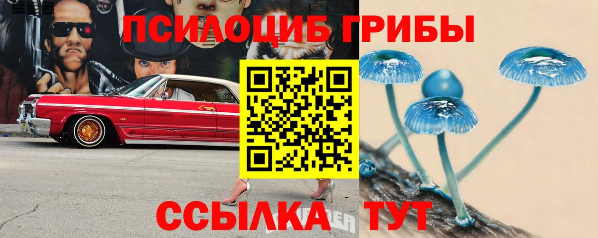 Псилоцибиновые грибы Psilocybine cubensis  где можно купить   Галлюциногенные грибы Psilocybe  Усть-Джегута  Вход с VPN 